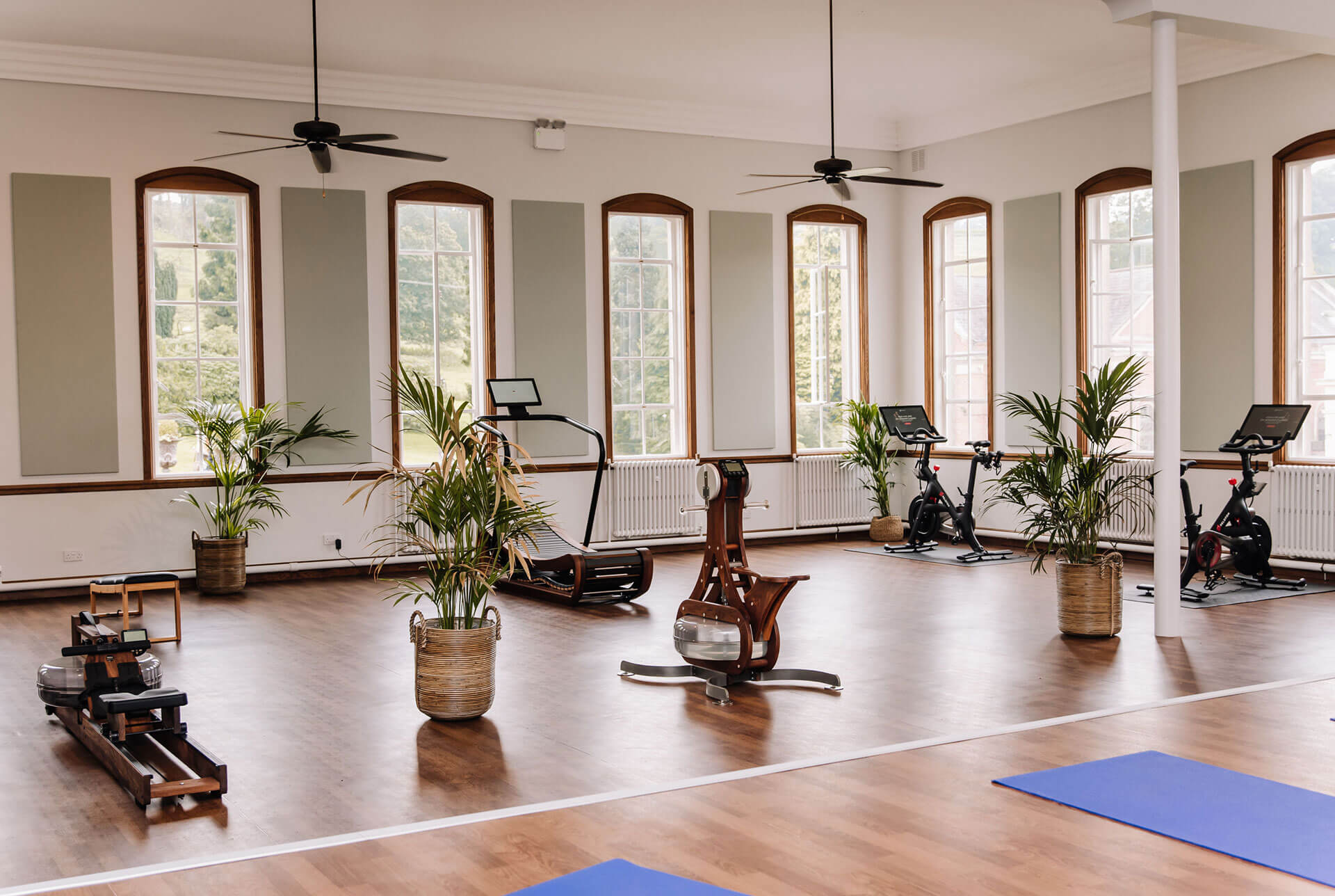 Spa & Wellness