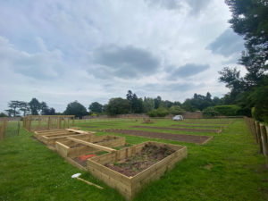 The Kitchen Garden