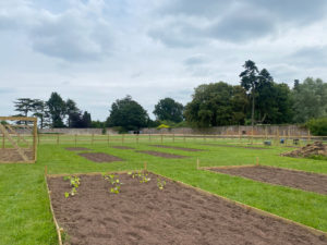 The Kitchen Garden